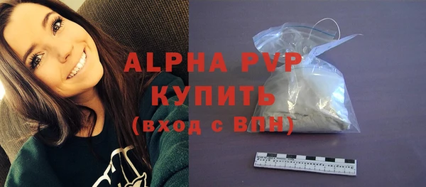 прущий лед Абаза