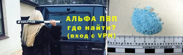 СК Алексин