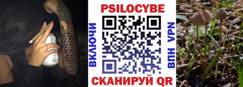 Псилоцибиновые грибы GOLDEN TEACHER  Орск 