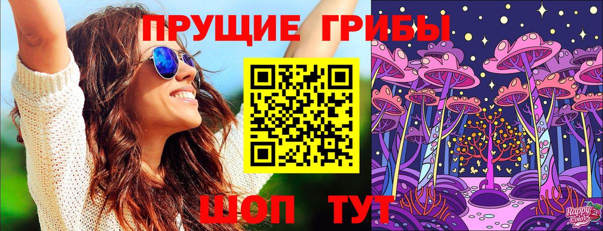 Галлюциногенные грибы Psilocybe Орск