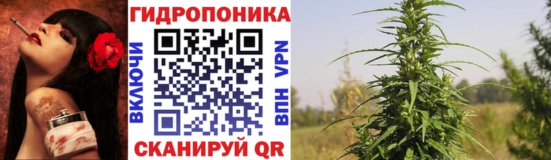 Конопля Amnesia  наркотики  Орск 